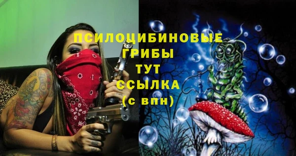 ECSTASY Бородино