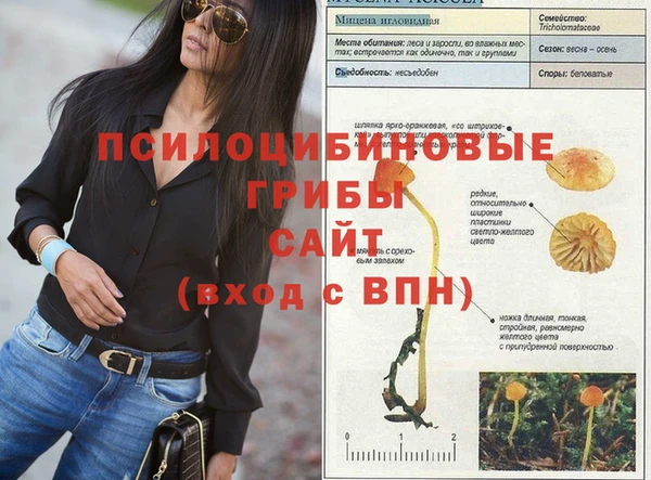 шишки Бугульма