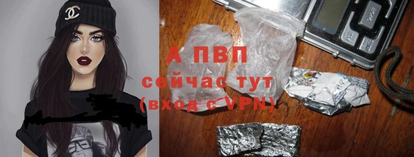 дживик Володарск