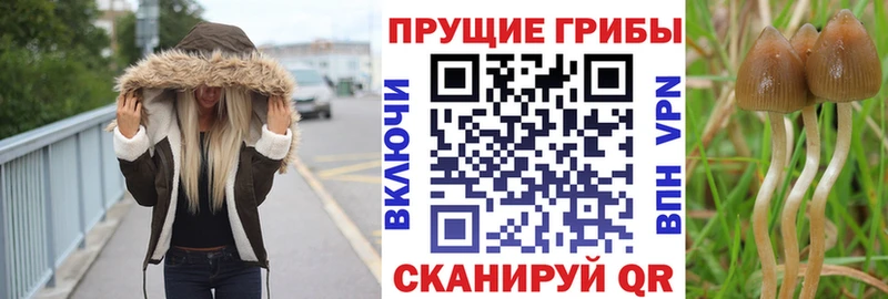 Галлюциногенные грибы мухоморы  Елабуга 